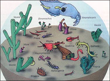 precambrian plants names